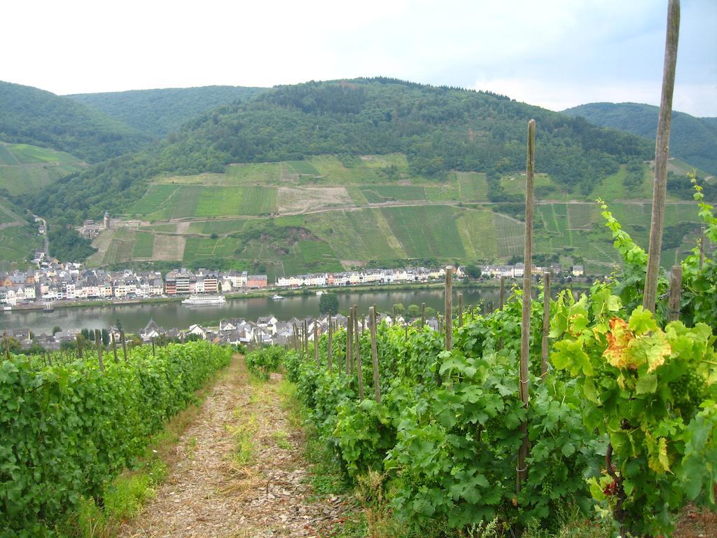 Haus Anna Villa Zell an der Mosel Kültér fotó