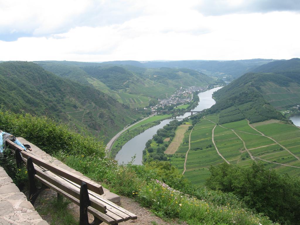 Haus Anna Villa Zell an der Mosel Kültér fotó