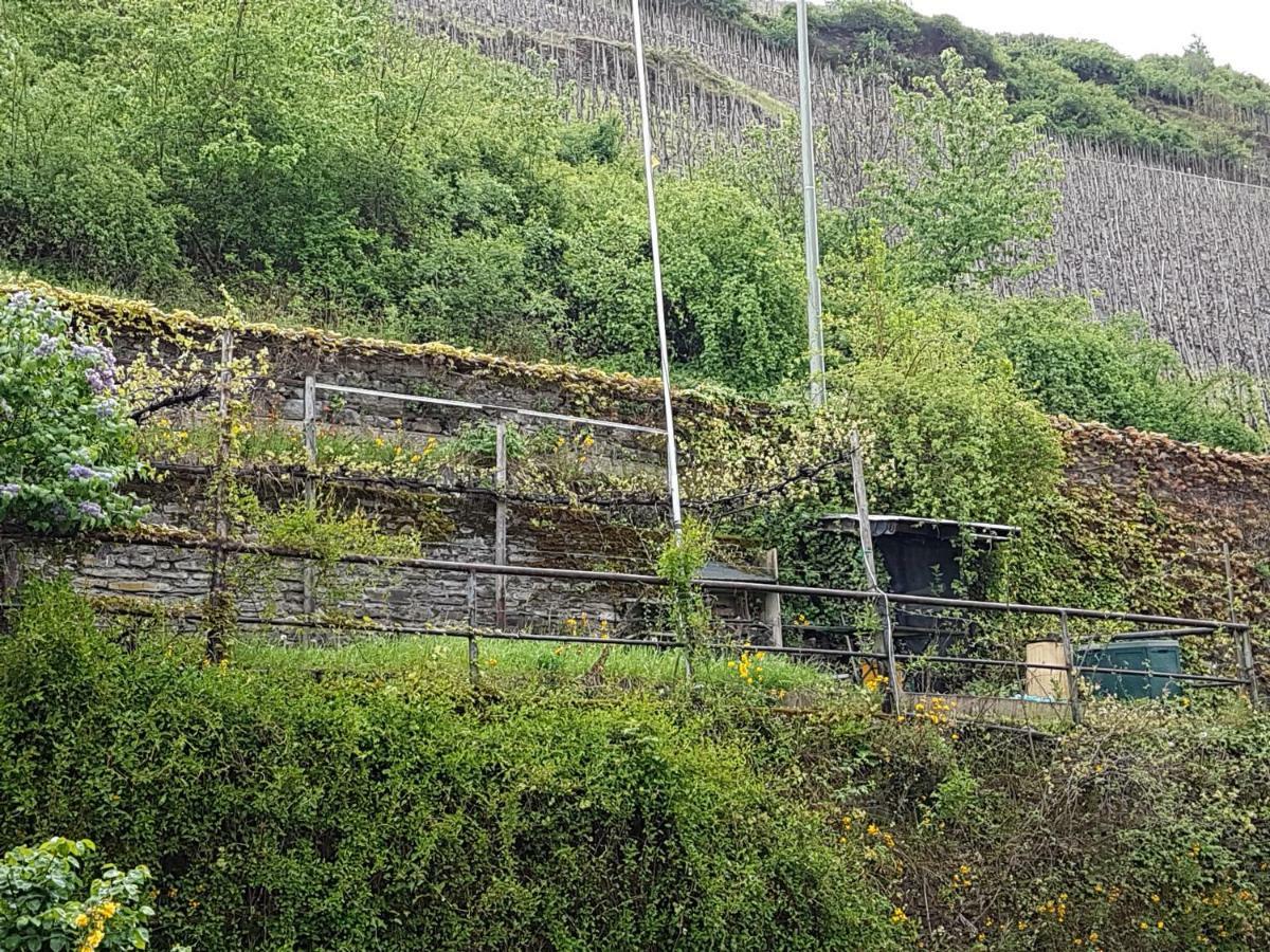 Haus Anna Villa Zell an der Mosel Kültér fotó